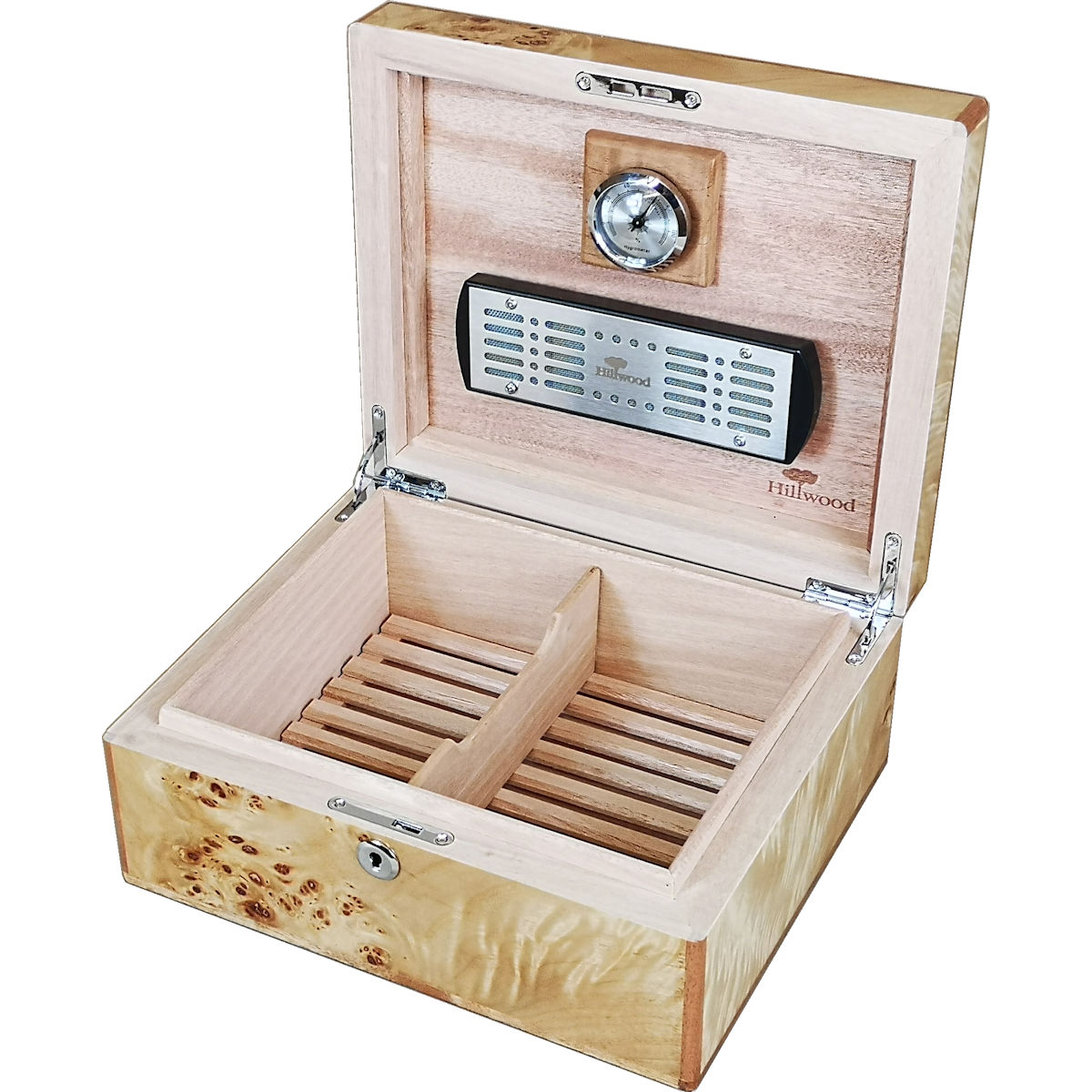 Maple Burl Wood 25 Cigar Humidor with Lock Hillwood