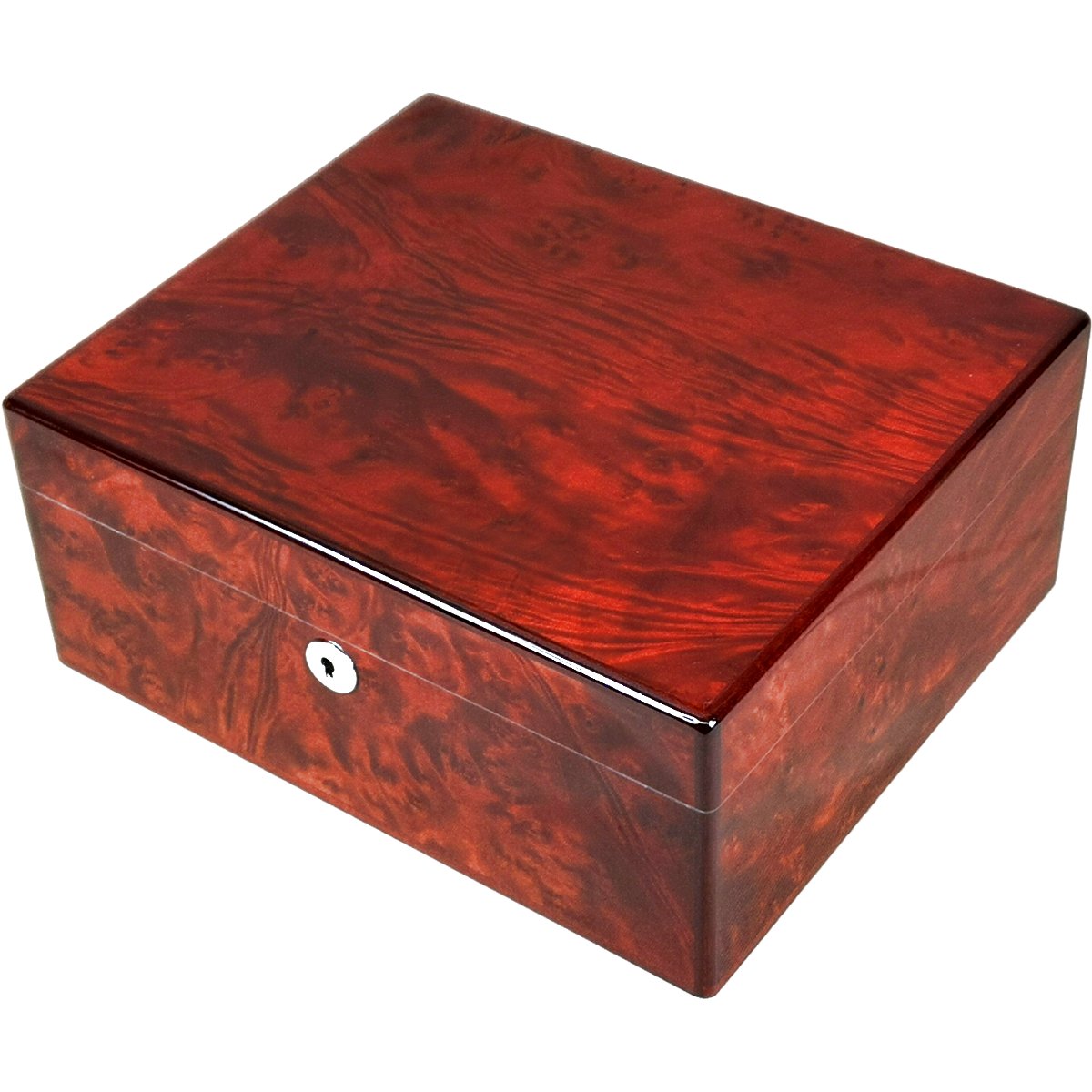 Makah Burl Wood 25 Cigar Humidor with Lock Hillwood